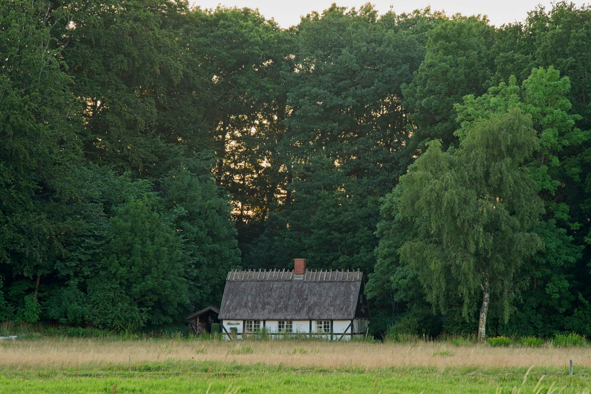 Dansk stråtækt hus omgivet af grøn natur i aftenlys
